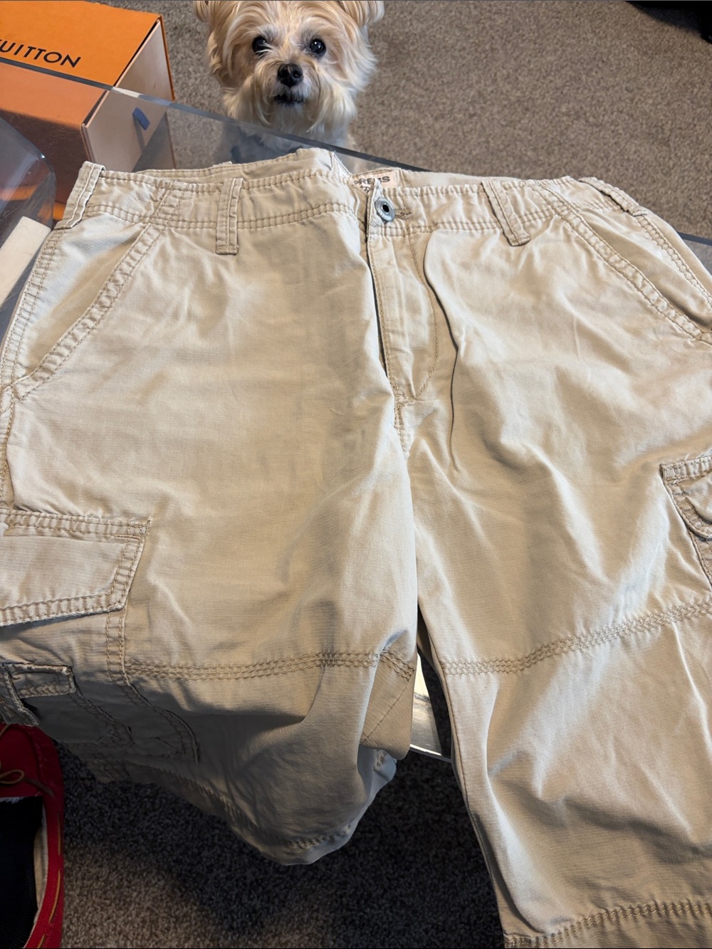 Express Beige/Tan Cargo Shorts - Casual Utility Style